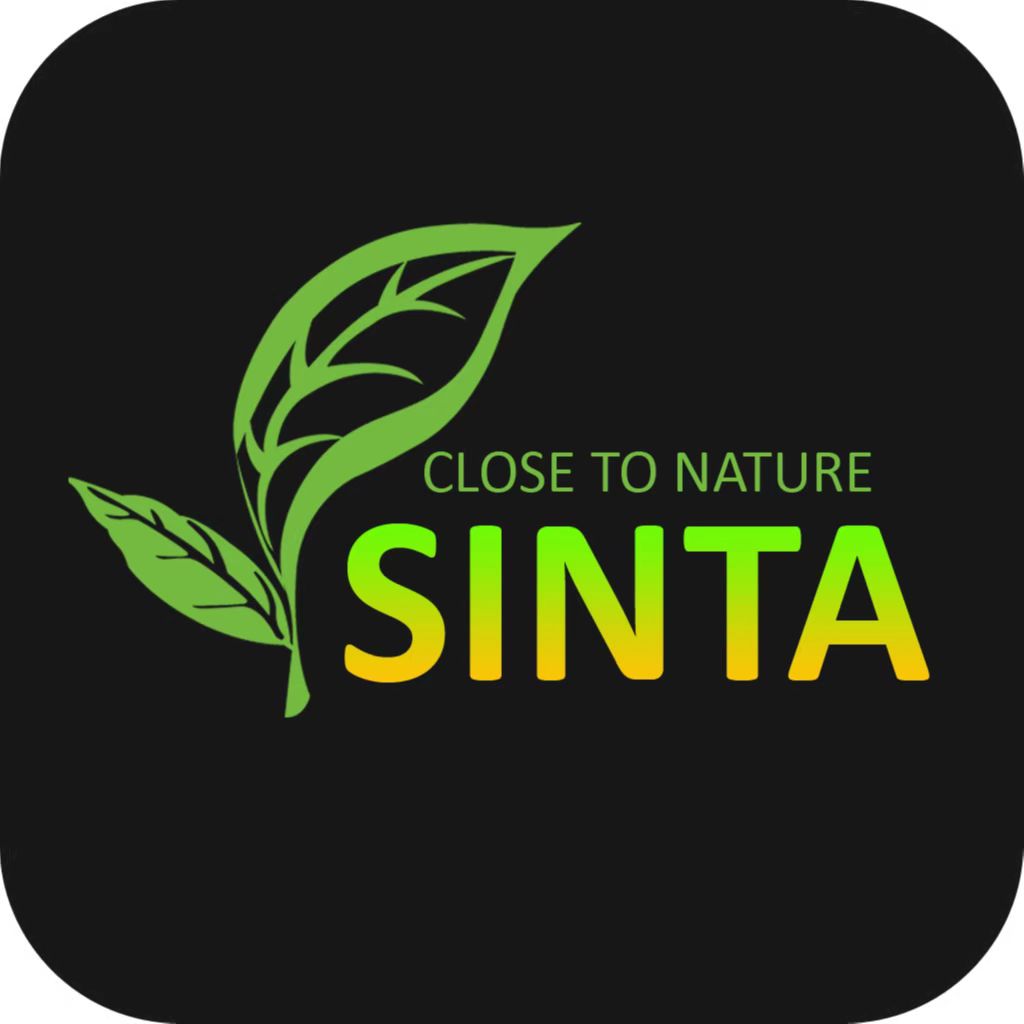 SINTA GROUP